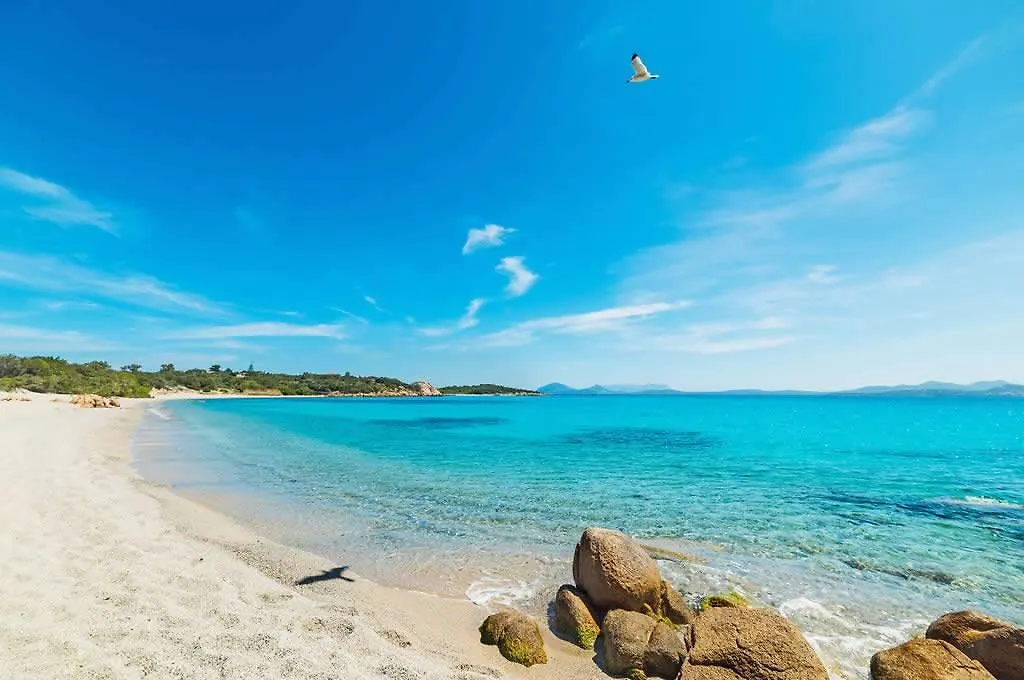 Felix Hotels - Hotel Airone Arzachena 4*,  Italie